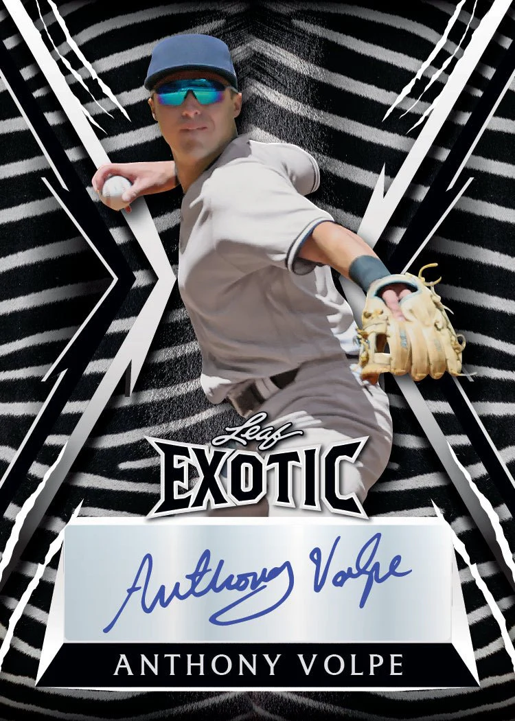 2023 Leaf Exotic Baseball Hobby Box - Image 4