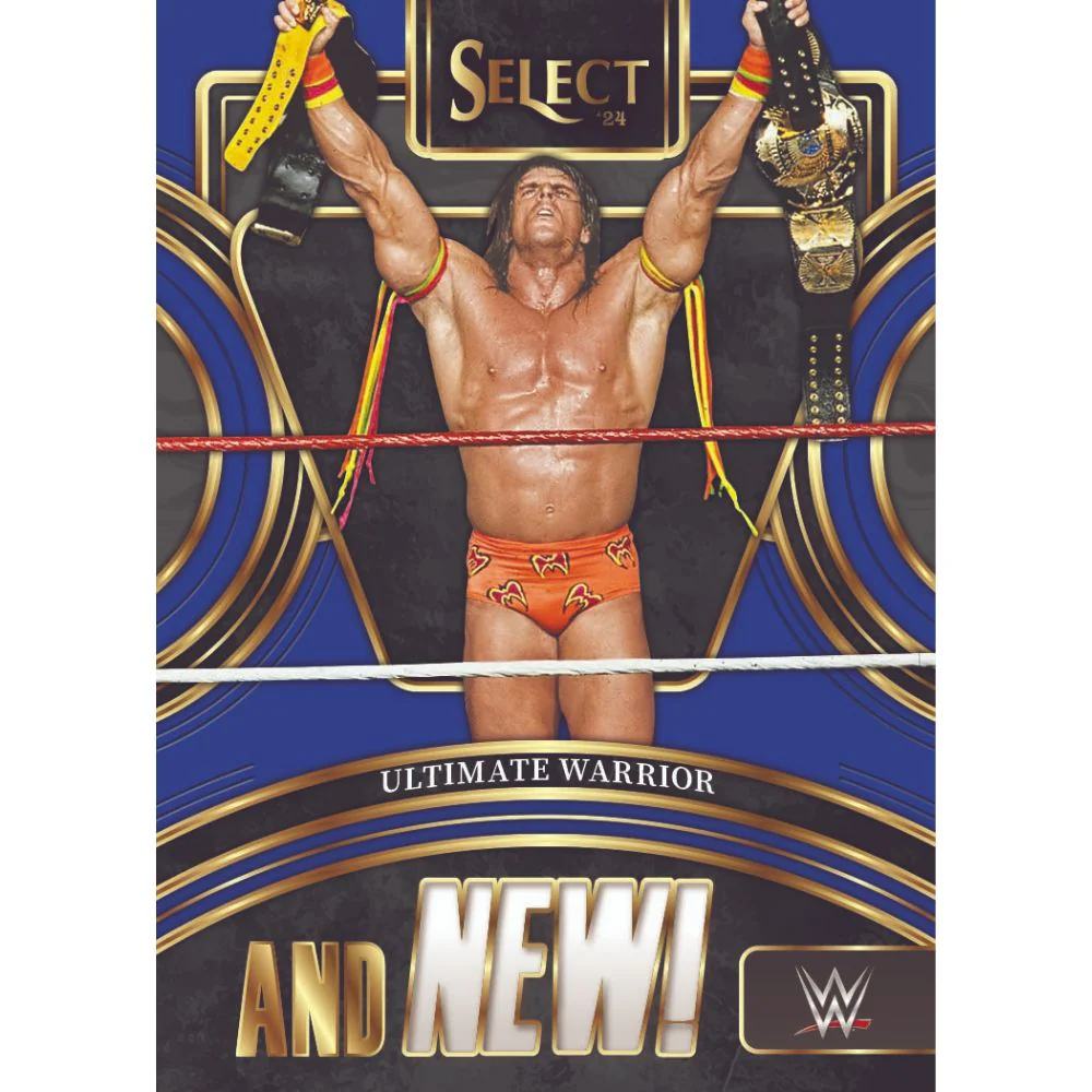 2024 Panini Select WWE Hobby Box - Image 6