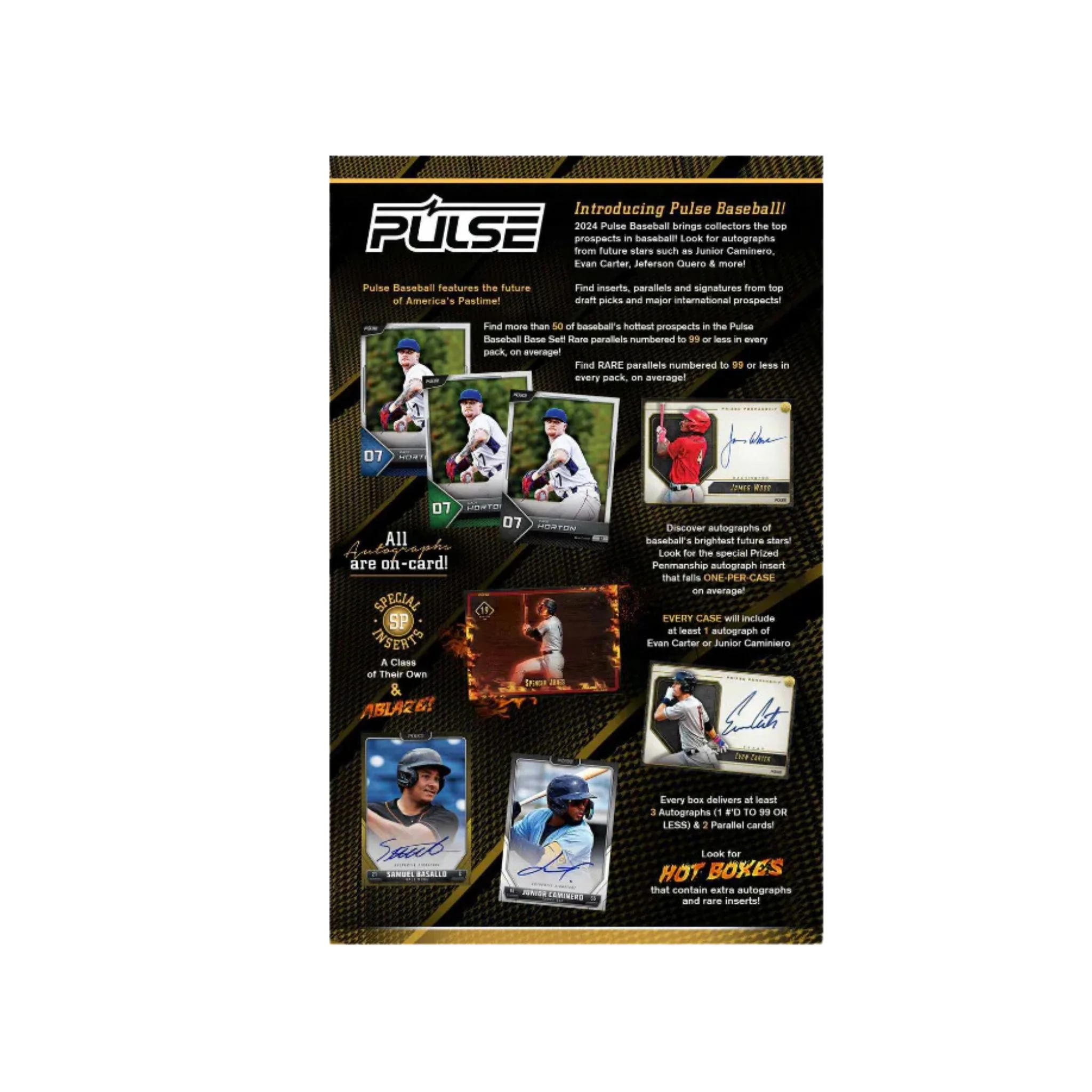 2024 Pulse Baseball Hobby Box - Image 2