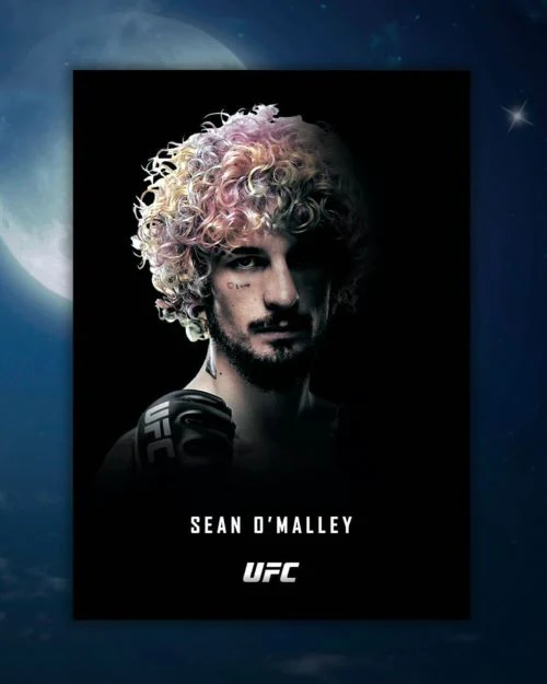 2024 Topps Midnight UFC Hobby Box - Image 11