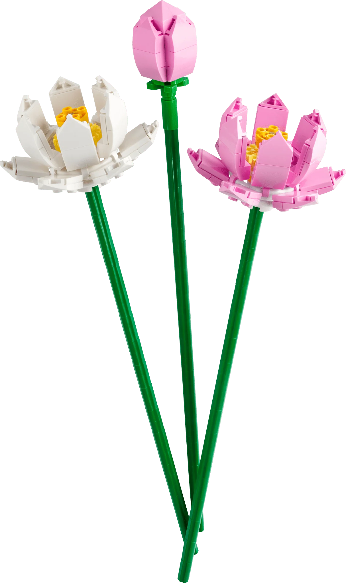 LEGO Botanicals Lotus Flowers - Image 2