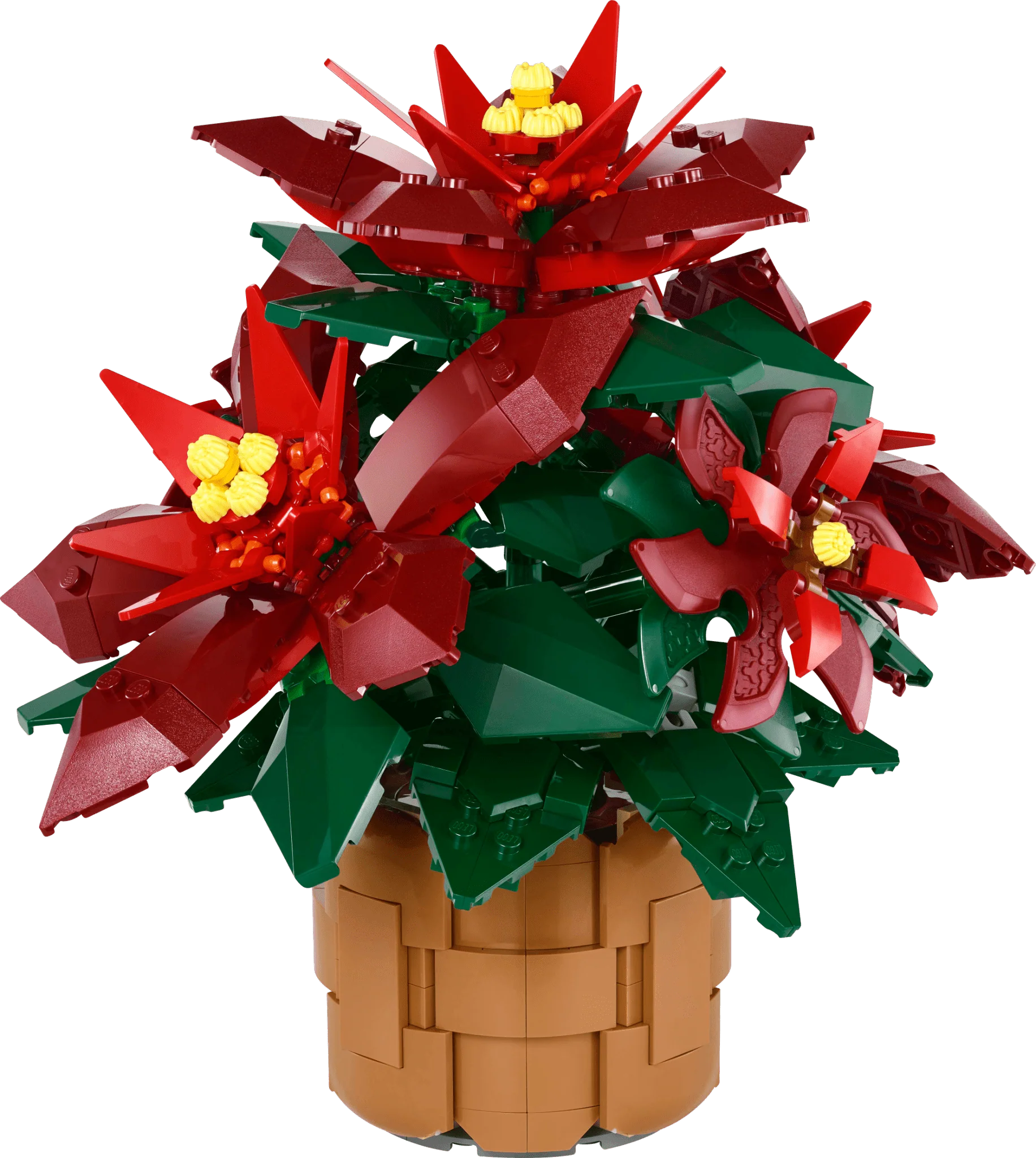 LEGO Botanicals Poinsettia - Image 3