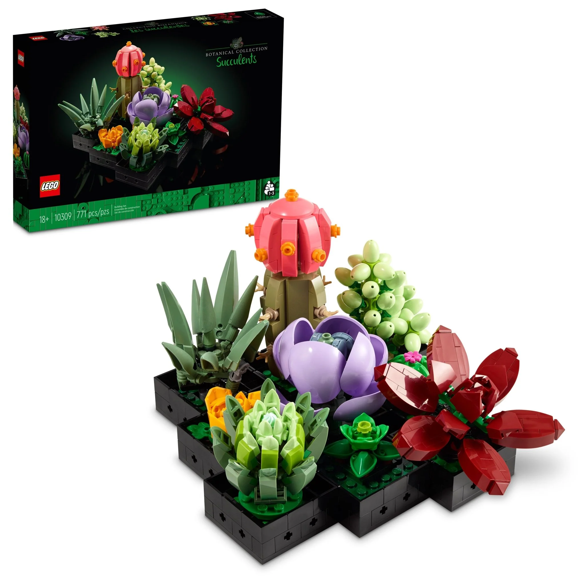 LEGO Botanicals Succulents - Image 2