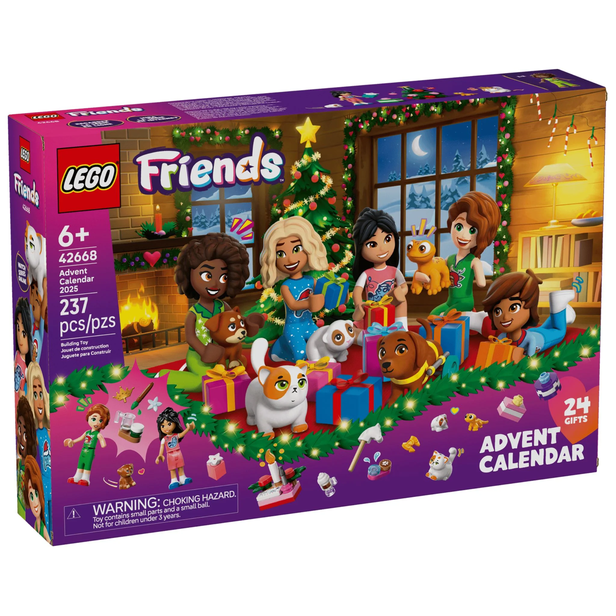 LEGO LEGO Friends Advent Calendar 2025