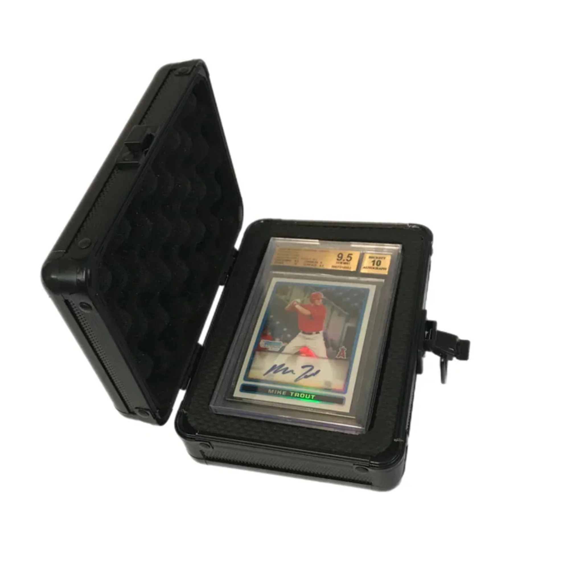 Zion BGS Slab Case One